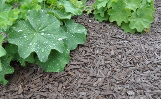 Gala Deko Stixx: colour anthracite