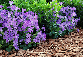 GaLa DekoStixx - the innovative mulch